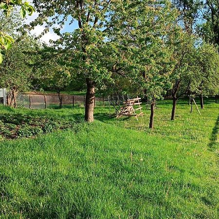 Casa De Vacanta Alina Prundul Birgaului Exteriör bild