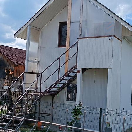 Casa De Vacanta Alina Prundul Birgaului Exteriör bild