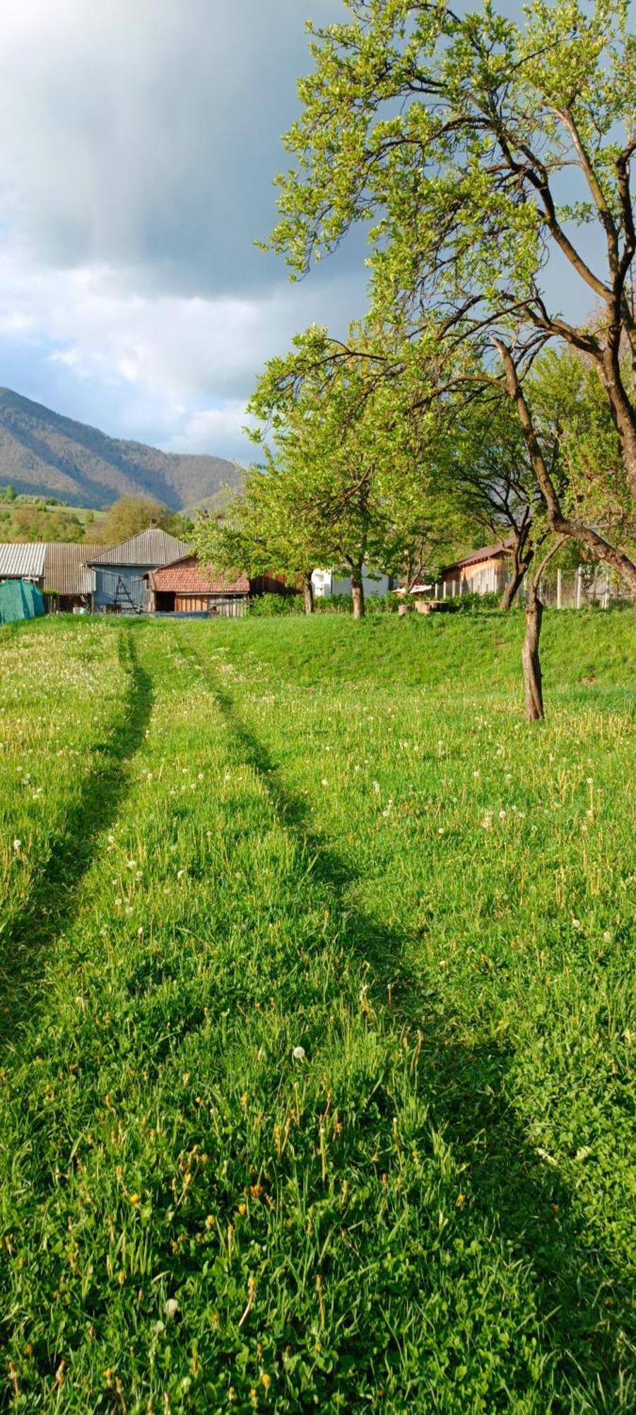 Casa De Vacanta Alina Prundul Birgaului Exteriör bild