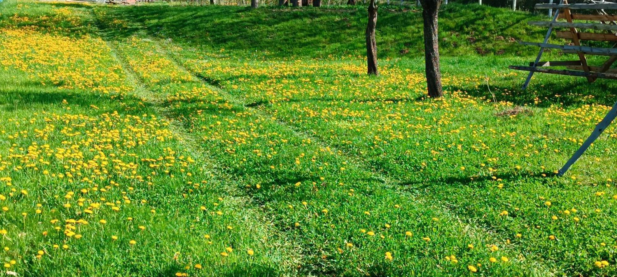Casa De Vacanta Alina Prundul Birgaului Exteriör bild