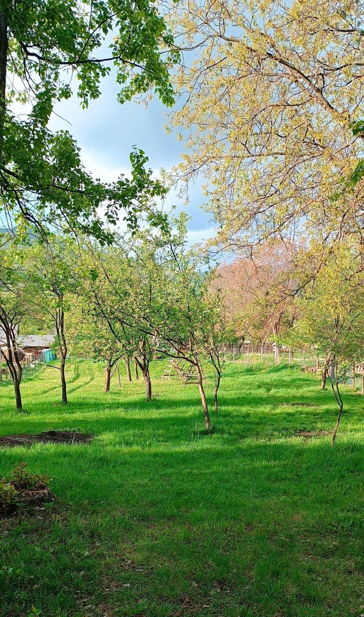 Casa De Vacanta Alina Prundul Birgaului Exteriör bild