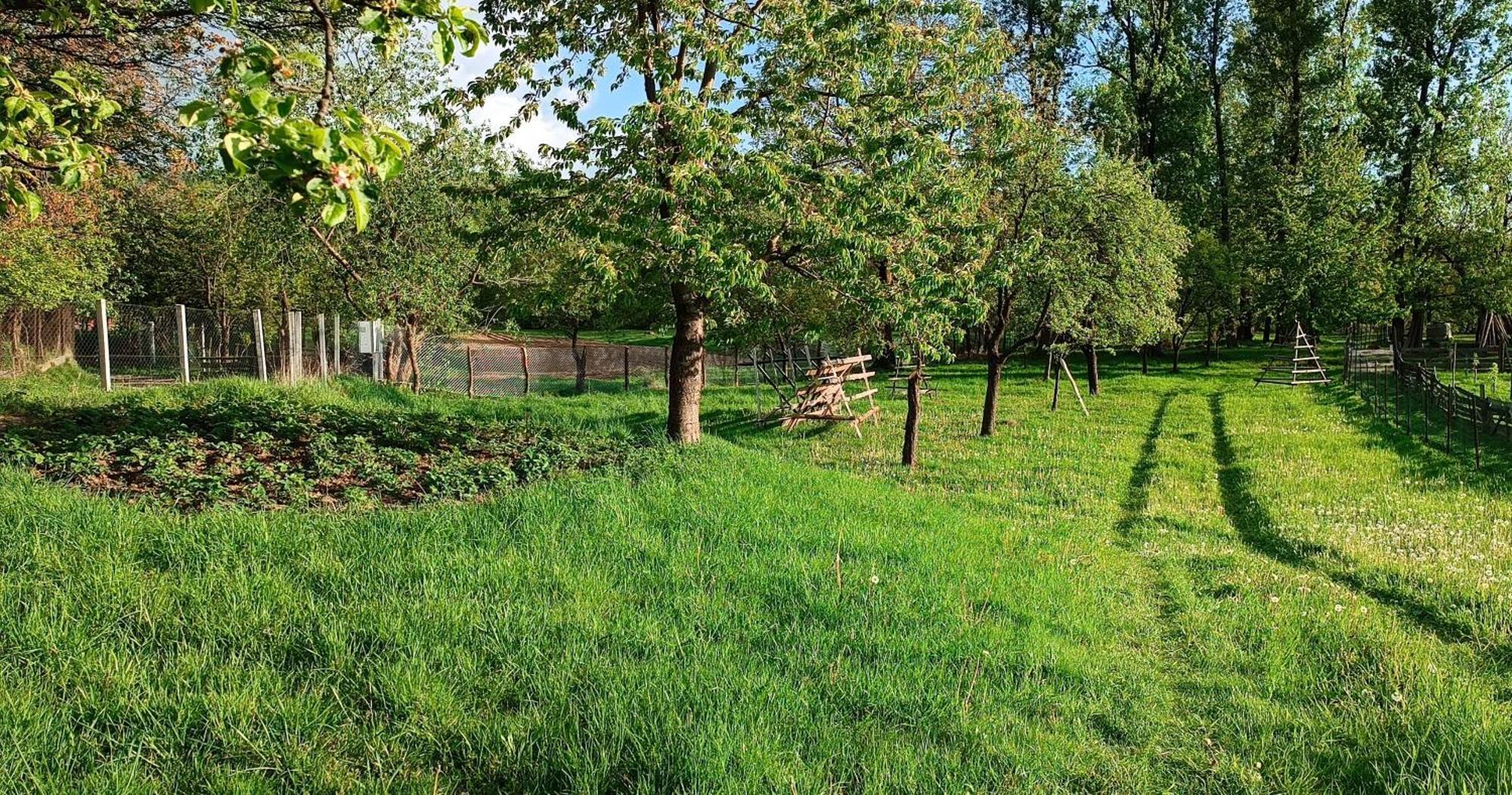 Casa De Vacanta Alina Prundul Birgaului Exteriör bild