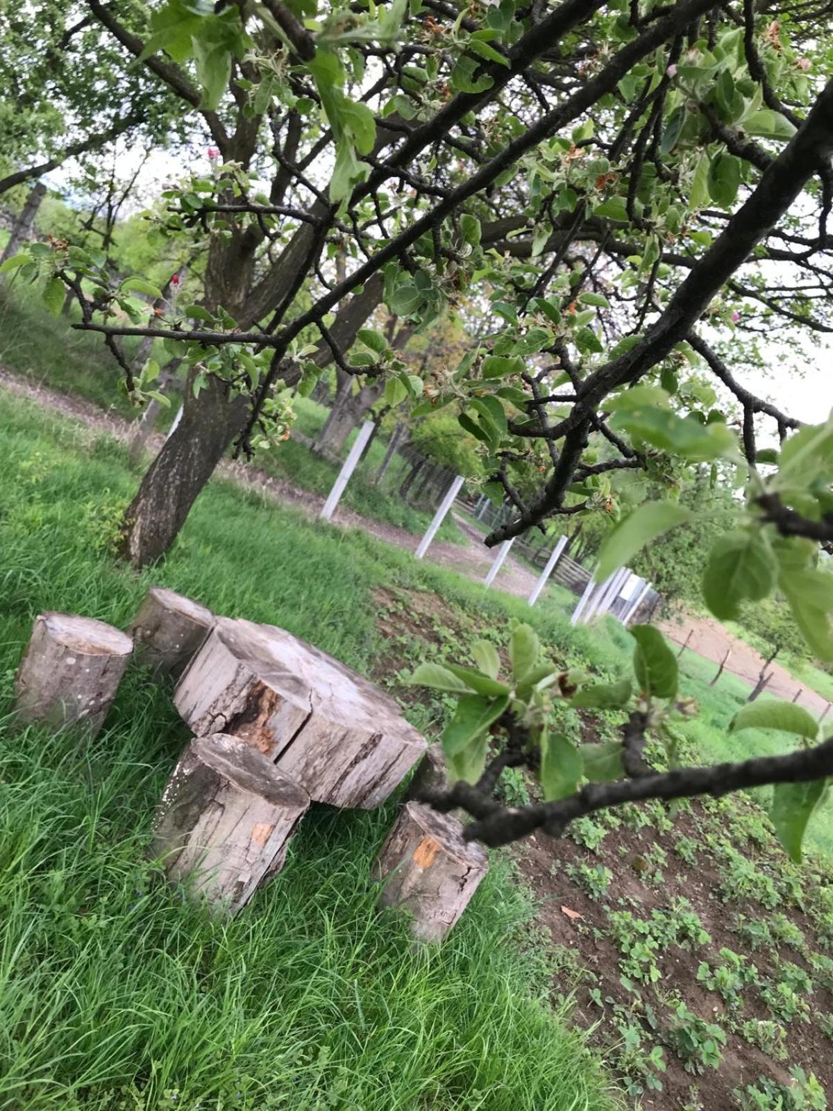 Casa De Vacanta Alina Prundul Birgaului Exteriör bild