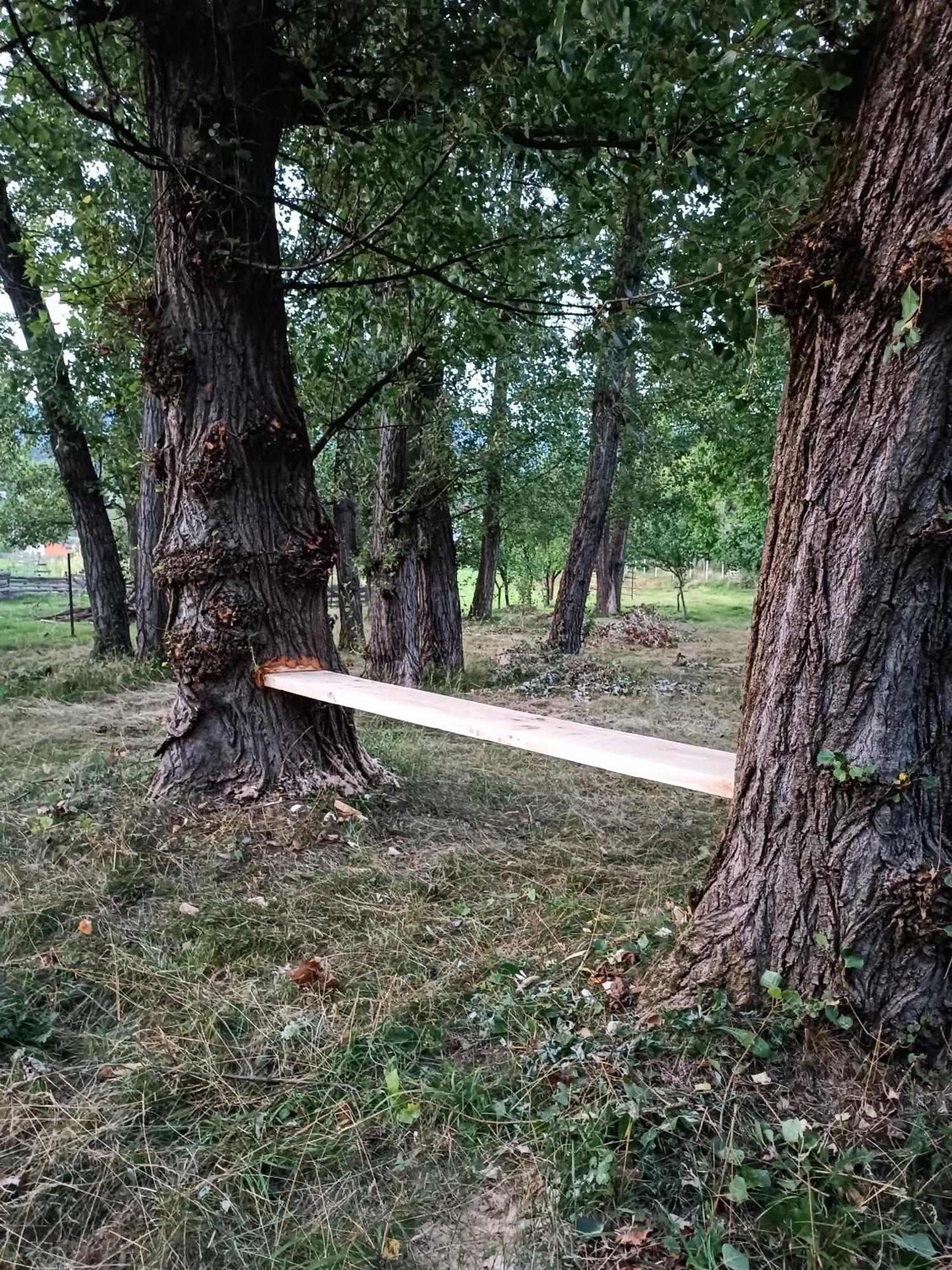 Casa De Vacanta Alina Prundul Birgaului Exteriör bild